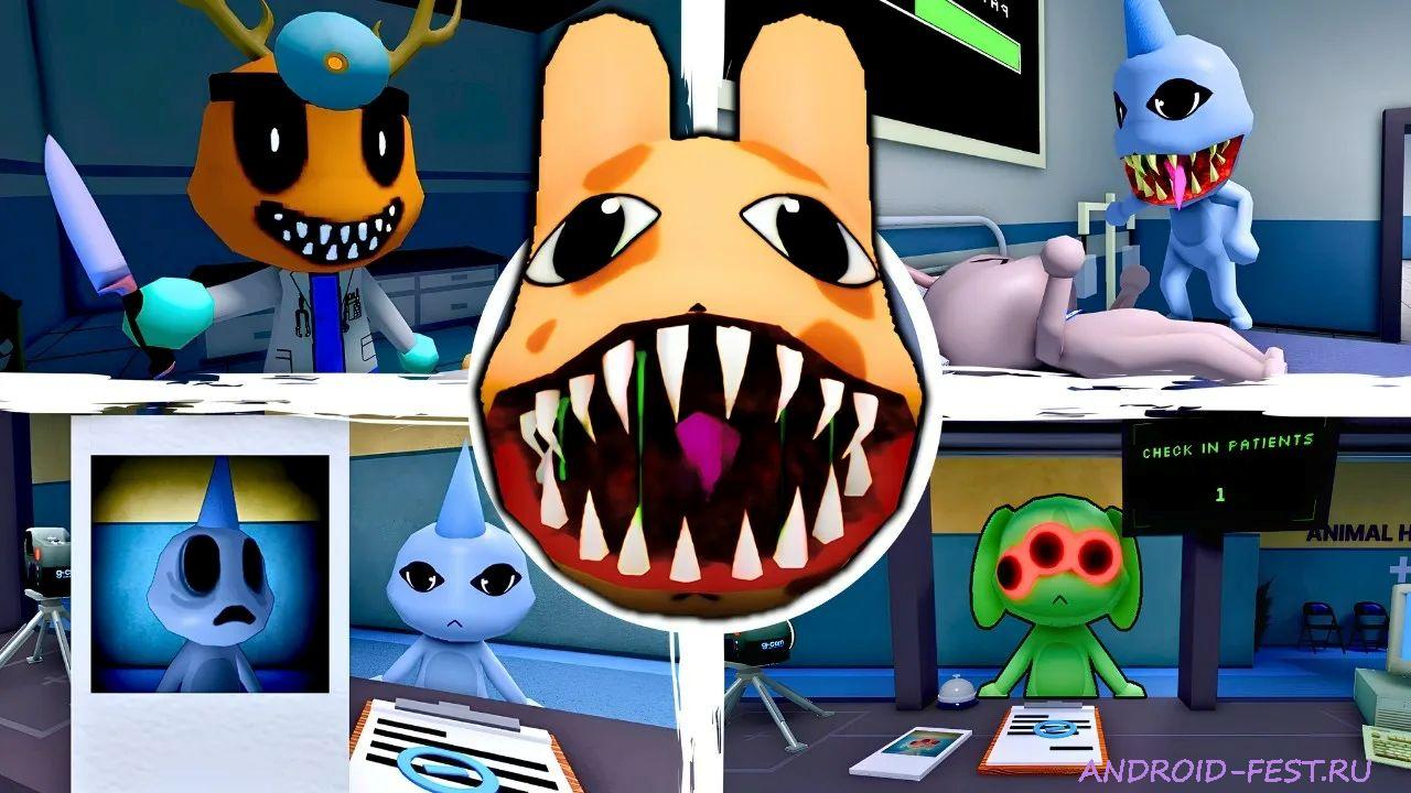 Animal Hospital Anomaly