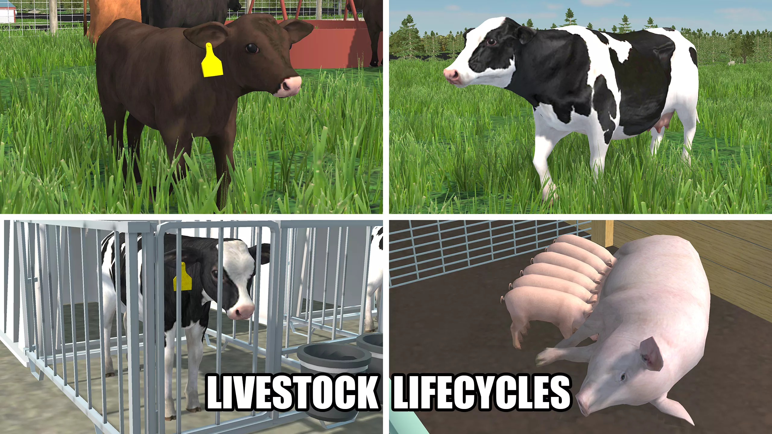 American Farming 2